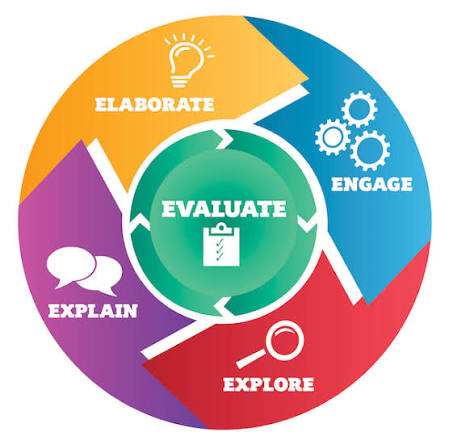 Curious Minds: Inquiry in Science